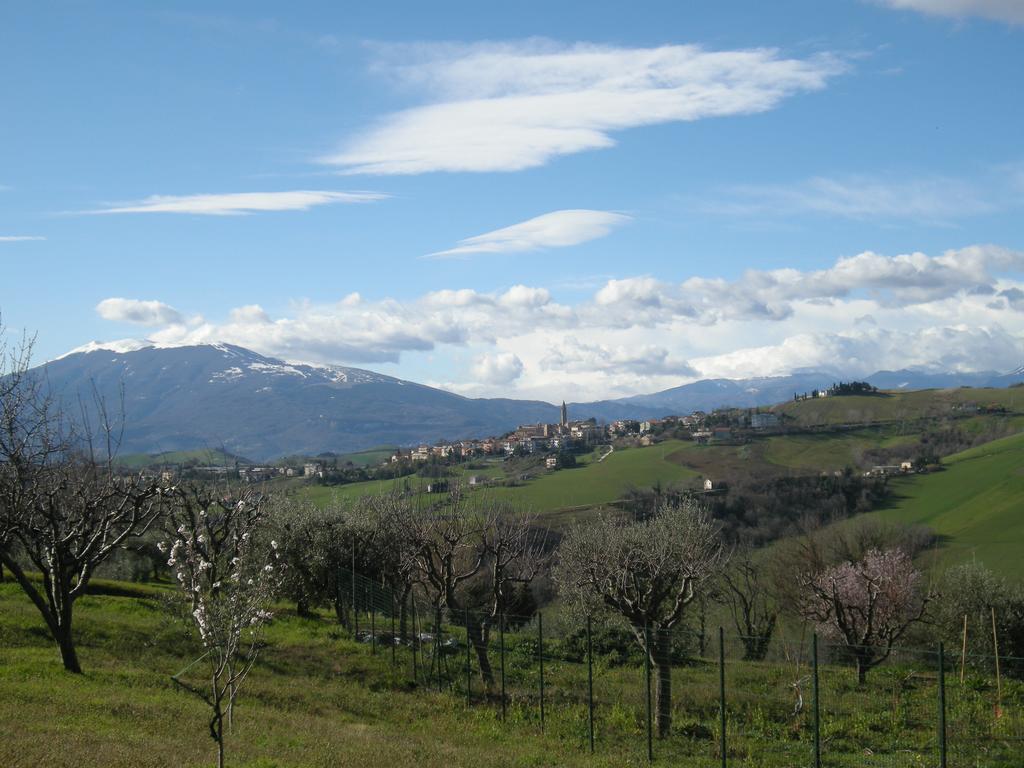 Bed And Breakfast San Martino Castignano Extérieur photo